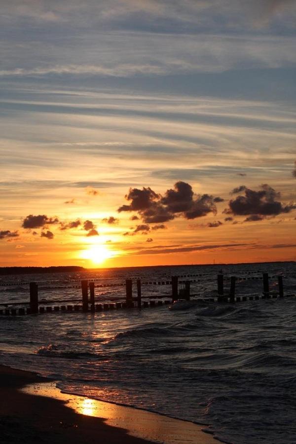 Glebbe 66 _ Hus Suennschien Lägenhet Zingst Exteriör bild