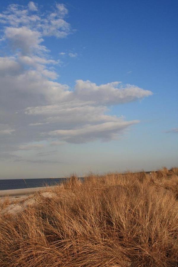 Glebbe 66 _ Hus Suennschien Lägenhet Zingst Exteriör bild